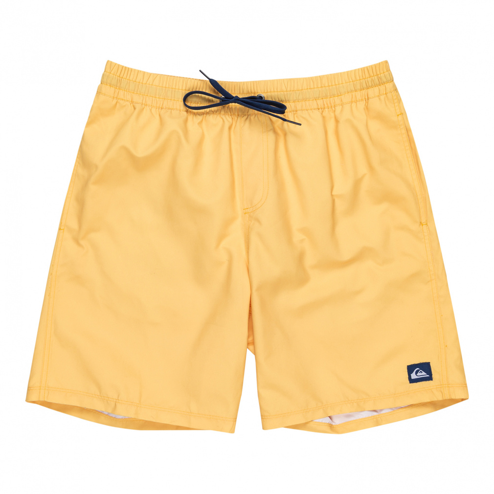 2025春夏 クイックシルバー メンズ マリン ボードショーツ EVERYDAY