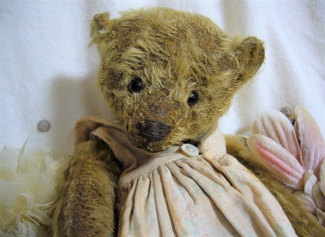 フォーゲットミーノット テディベア リズさん ベア フォーゲットミー