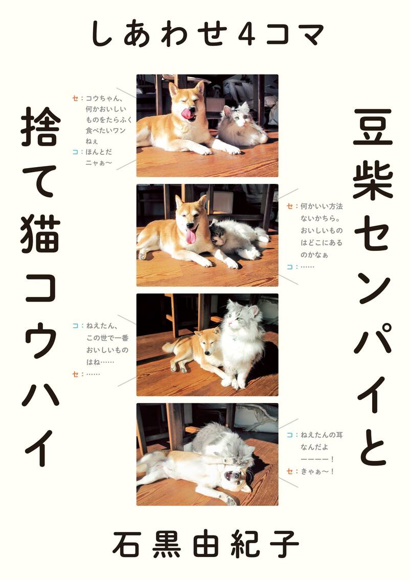 しあわせ4コマ 豆柴センパイと捨て猫コウハイ』石黒由紀子 | 幻冬舎