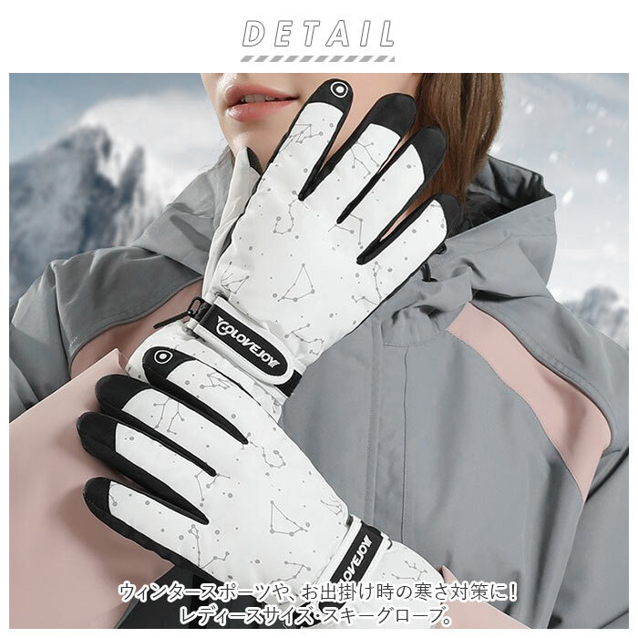 スキーグローブ メンズ 通販 レディース バイクグローブ スノーボード