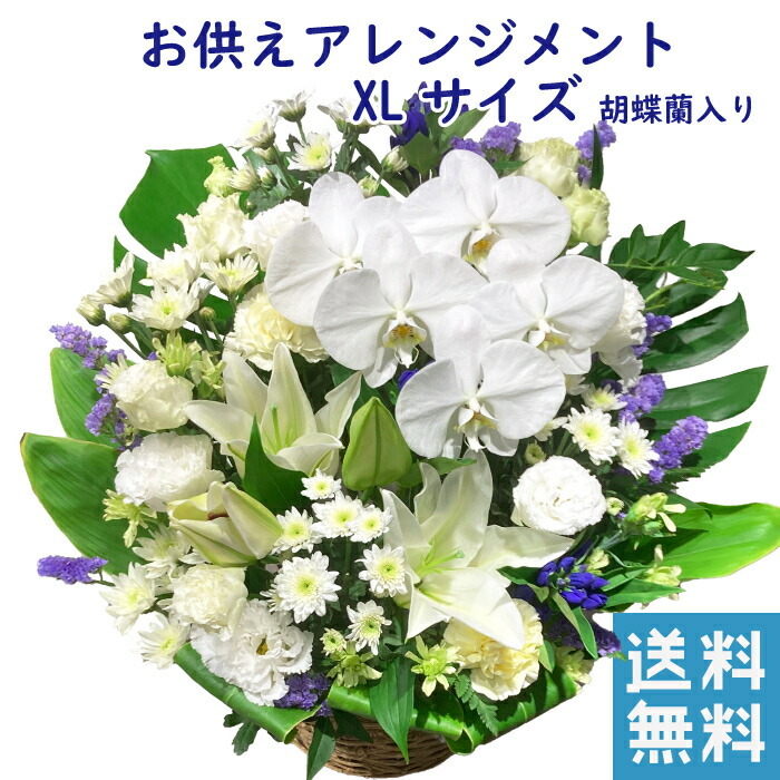花 お供え 花 お悔やみ 生花 胡蝶蘭 アレンジメント 宅配 花 仏花 生花