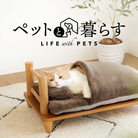 ミズノ・dinos共同企画商品 メディブレスピロー専用ピローケース 2枚組