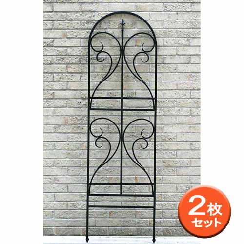 園芸ネット本店｜[送料無料]アイアントレリス：フィニアル180 ブラック