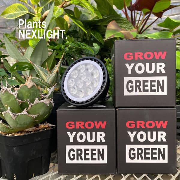 園芸ネット本店｜[送料無料]プランツネクスライト：ブラック（LED植物