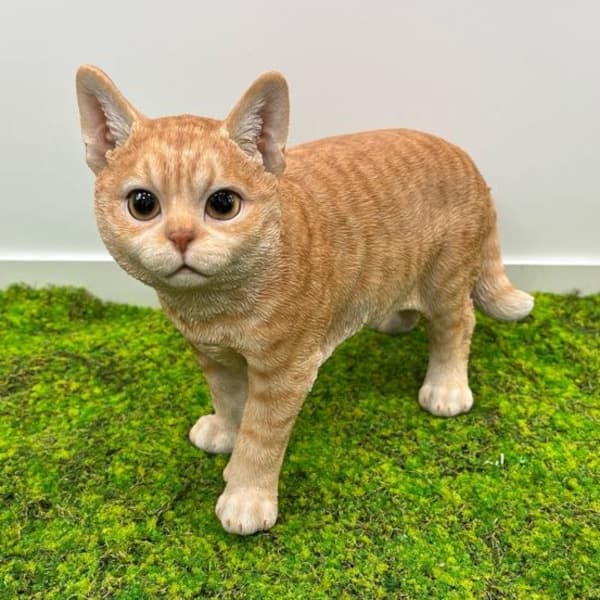 園芸ネット本店｜WooBia：歩くダークビスケットとら猫（大）（H22079-5