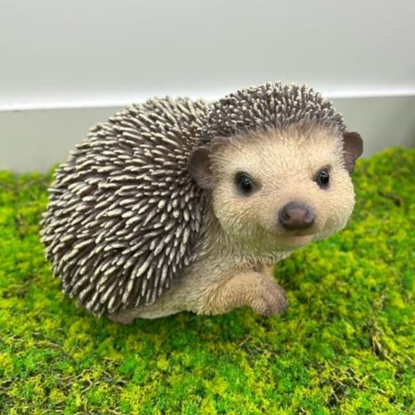 園芸ネット本店｜WooBia：右上向きハリネズミ（H19111-1） の通販【公式】