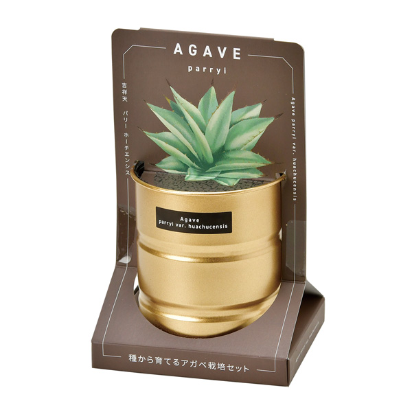 園芸ネット本店｜[ギフトに]栽培セット：種から育てる アガベ栽培