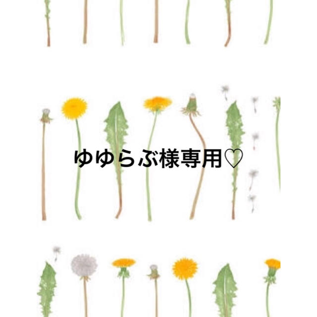 金玉満堂 红木嵌银丝漆器 置物 オブジェ 縁起物 開運 金玉満堂 红木嵌