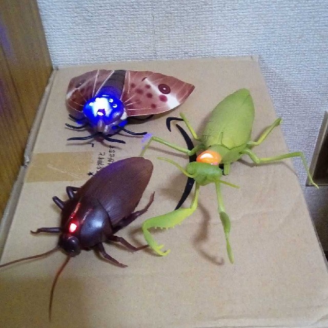 昆虫ラジコン 蛾•ゴキブリ•カマキリの通販 by ファントムハイブ shop
