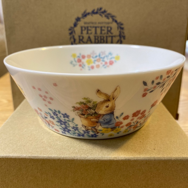 ピーターラビット パスタカレー皿 サラダボウル ダイソーキャンペーン