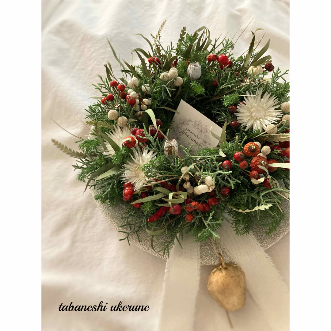 赤い実と白い実を紡いだ アイアンベルが鳴る クリスマス リース ドライ