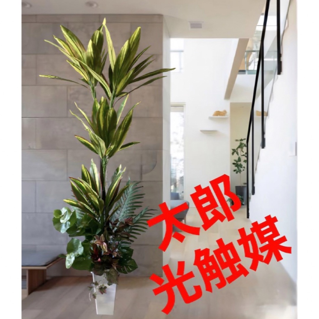 光触媒 人工観葉植物 ウォールグリーン フェイクグリーン デザイナーズ