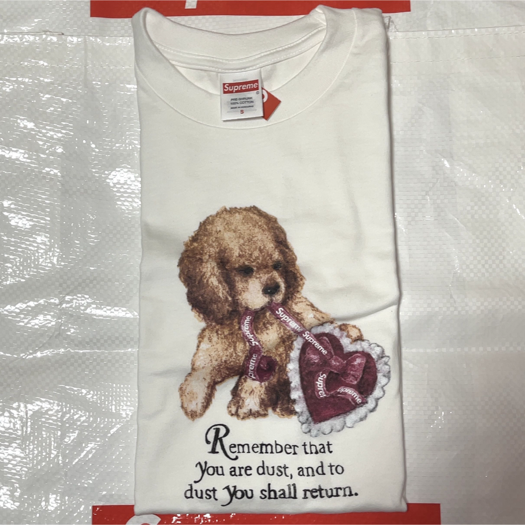 Supreme - 【新品・未使用】Supreme シュプリーム Dust Tee / Sの通販
