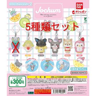 JO1 - JOCHUM ジェオチャム トレカケース トレカホルダーRURUの通販 by