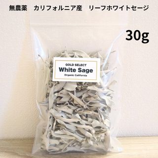 イトオテルミー テルミー線 100本の通販 by m