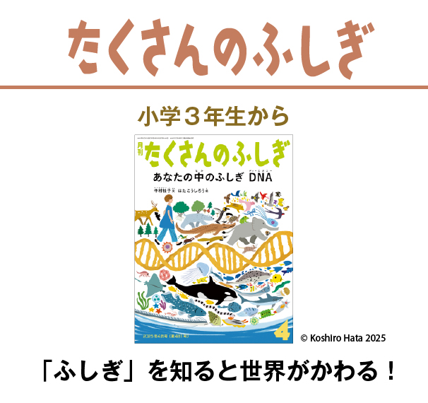 たくさんのふしぎをお求めの方はこちら | 雑誌/定期購読の予約はFujisan