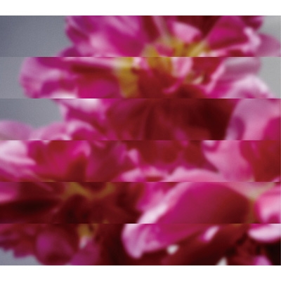 何度でも新しく生まれる : MONDO GROSSO | HMV&BOOKS online - CTCR-40388