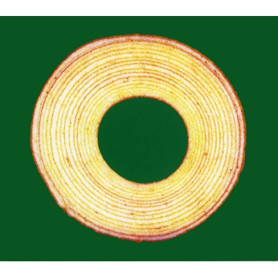 バームクーヘン : THE HIGH-LOWS | HMV&BOOKS online - UPCY-9927