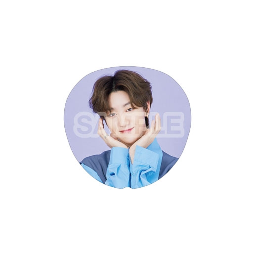 SVT セブチ うちわ 8 ディエイト バーノン Be The Sun うちわ B(THE 8