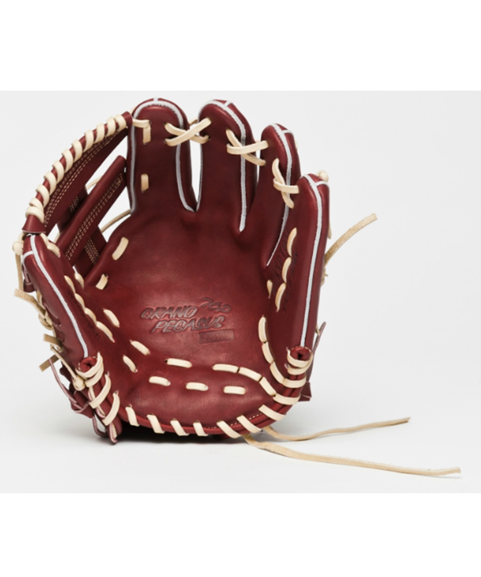 ワールドペガサス(WORLD PEGASUS) 野球 硬式グローブ 内野手用