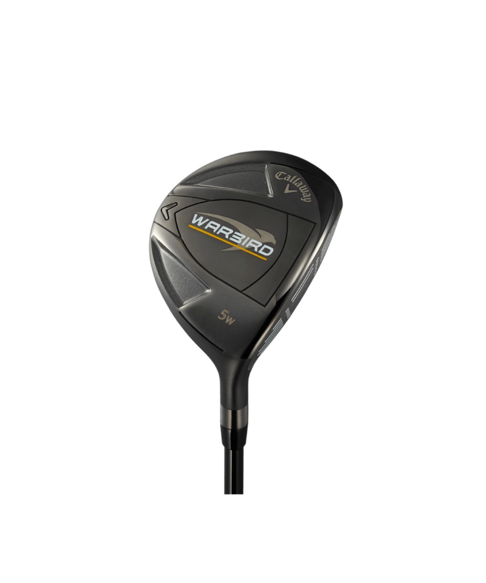 クラブセット 10本組 キャディーバッグ付き WARBIRD ウォーバード