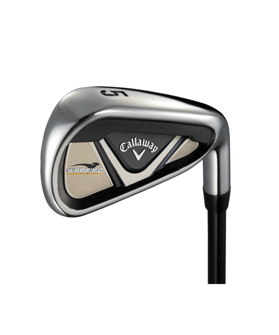 クラブセット 10本組 キャディーバッグ付き WARBIRD ウォーバード