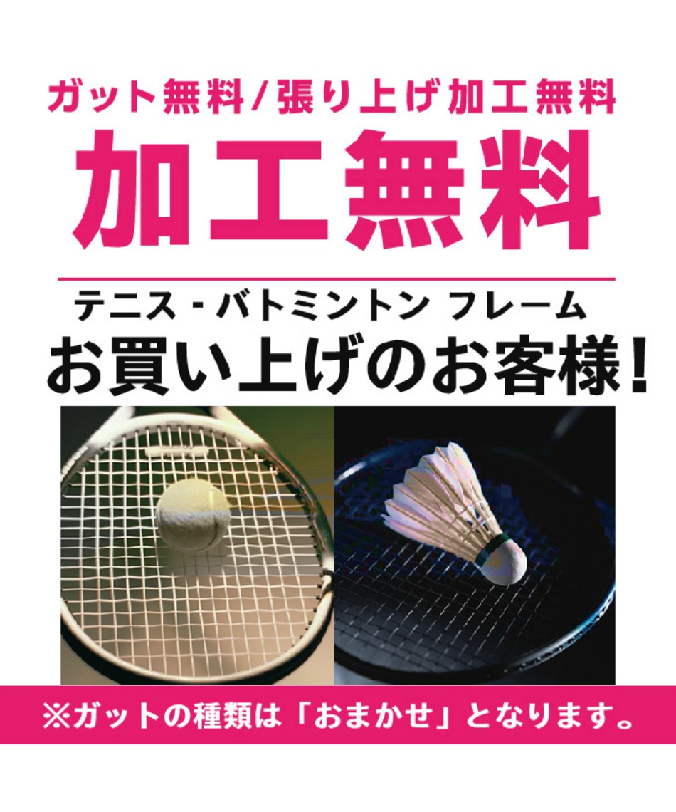ヨネックス(YONEX) バドミントンラケット アストロクス100ZZ ダブル