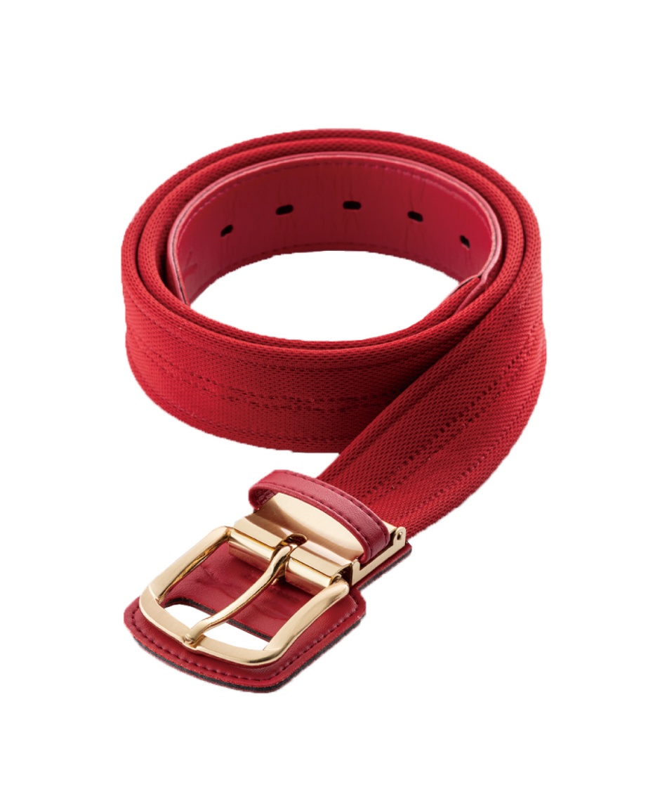 コアエナジー(CoreEnergy) 野球 ベルト コアエナジー3 レッド×ゴールド