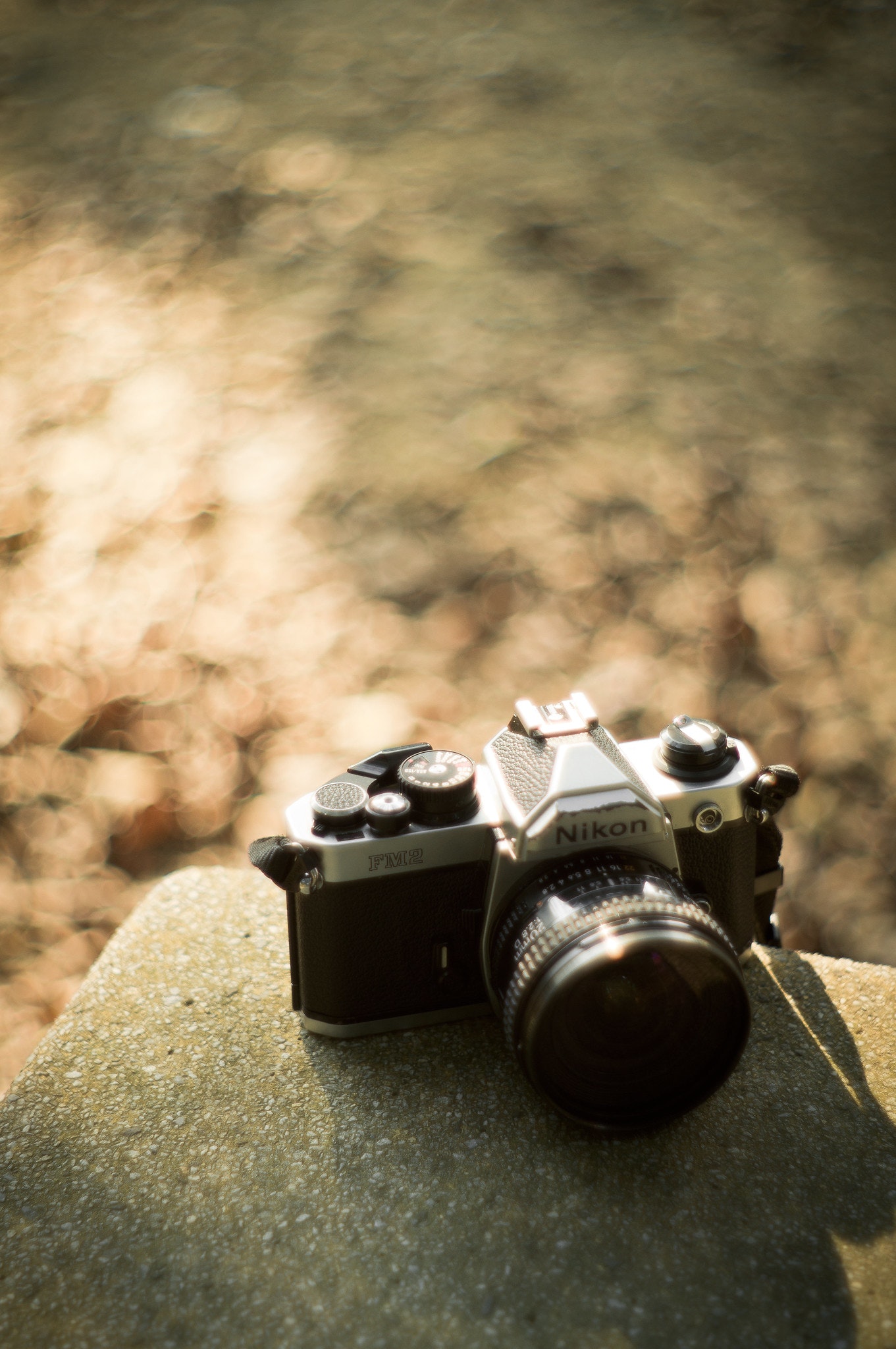 Nikon FM2を徹底解説。作例からおすすめレンズまで | ONE SCENE（ワン