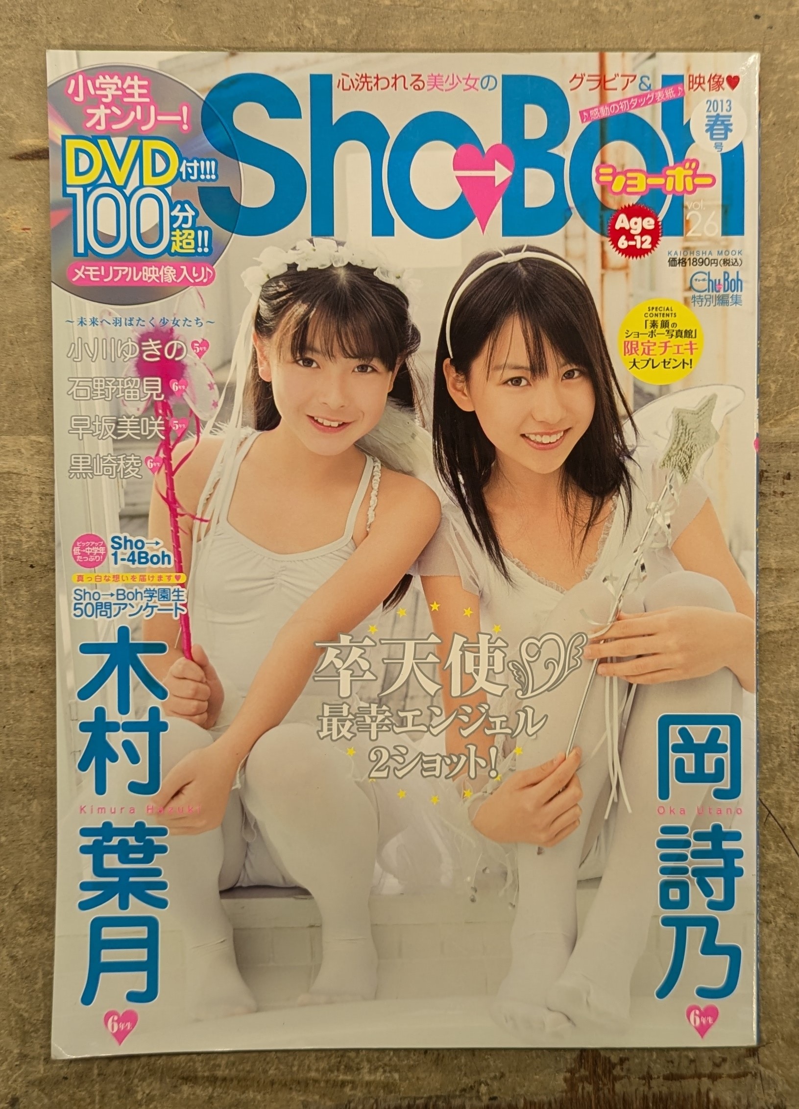 海王社ムック ShoBoh ショーボー Vol 29 DVD付き 海王社ムック ShoBoh