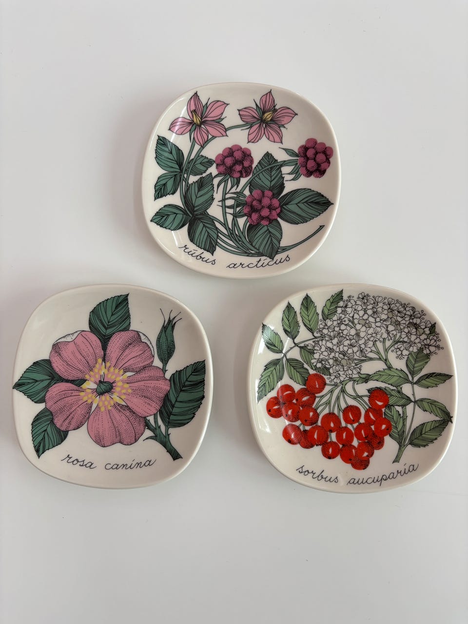 Arabia Botanica vintage Rosa Canina Koiranruusu seinälautanen