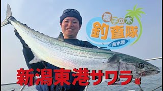 METAL WITCH Quest α / メタルウィッチクエストアルファ ｜PALMS