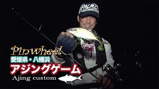 Pinwheel / ピンウィール ｜PALMS ｜ 株式会社パームス