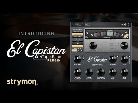 Strymon El Capistan Tape Echo Plug-in | Sweetwater