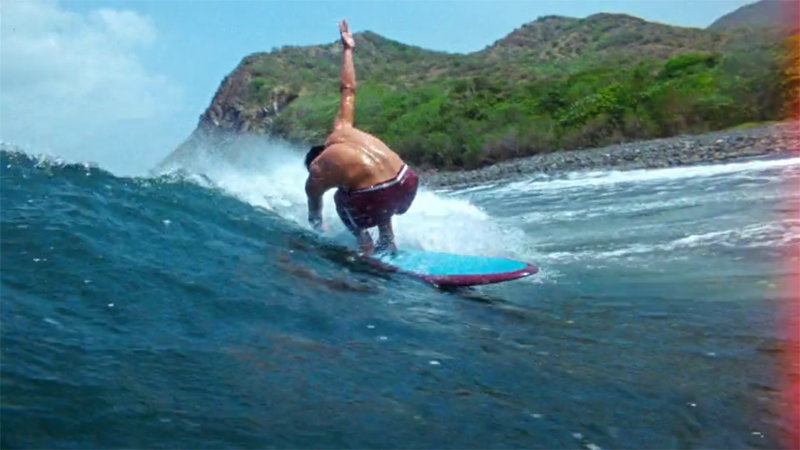 SURF-A-BILLY（サーファビリー） - ロングボード（LONGBOARD）のシーコング