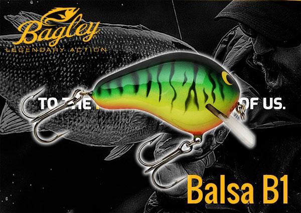 バグリー/バルサB1 - HONEYSPOT