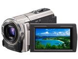 価格.com - SONY HDR-CX590V (S) [シャンパンシルバー] 純正オプション