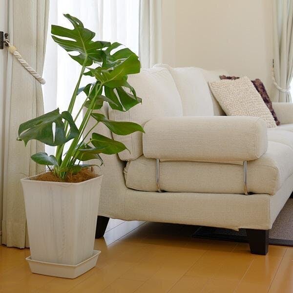 リッチェル フォーレスクエアポット10号 ホワイト 幅24×奥24×高33.5