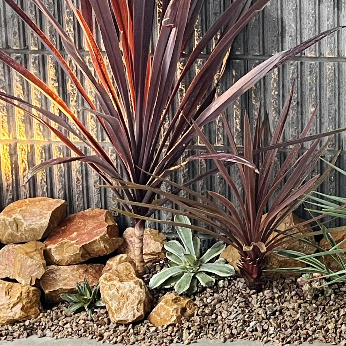 庭石 【ロックガーデン】 石 黄色 【イエロー S 220kg (22kgx10箱