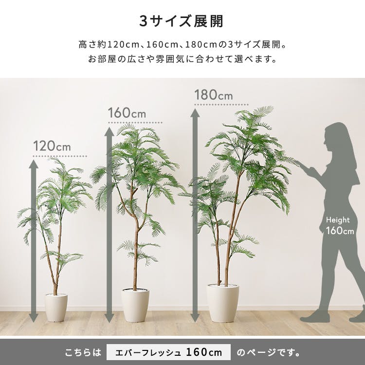 お手入れ簡単フェイクグリーン エバーフレッシュ Mサイズ(160cm