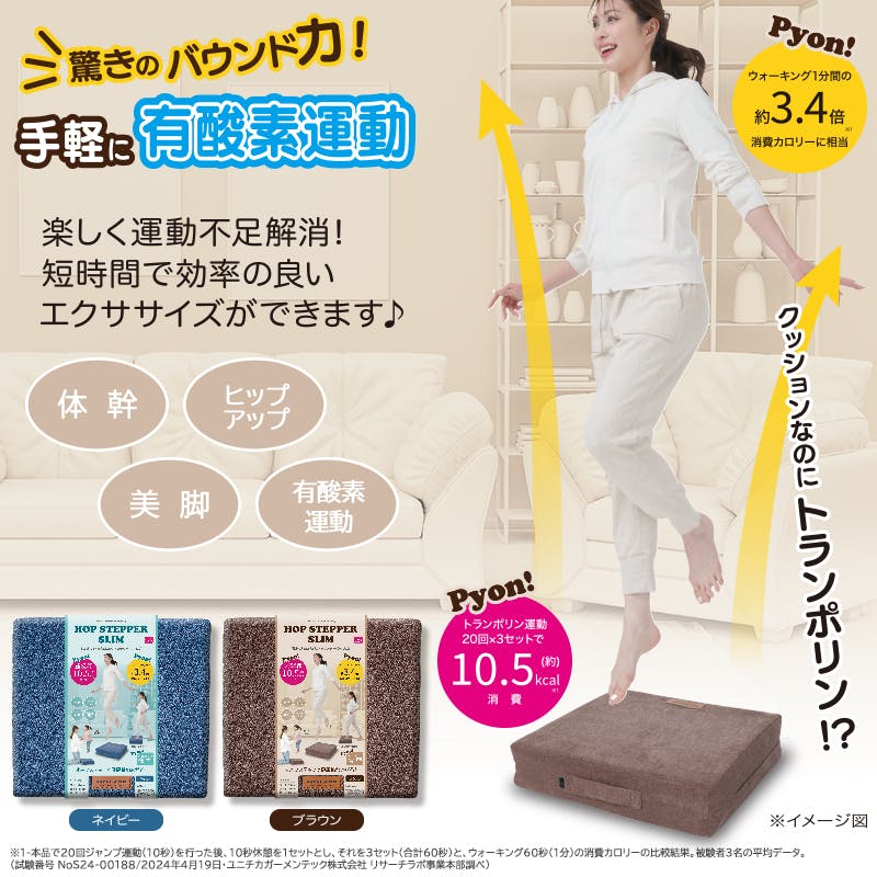 ジムテリア シェイプキューブ カカオブラウン | その他 トレーニング