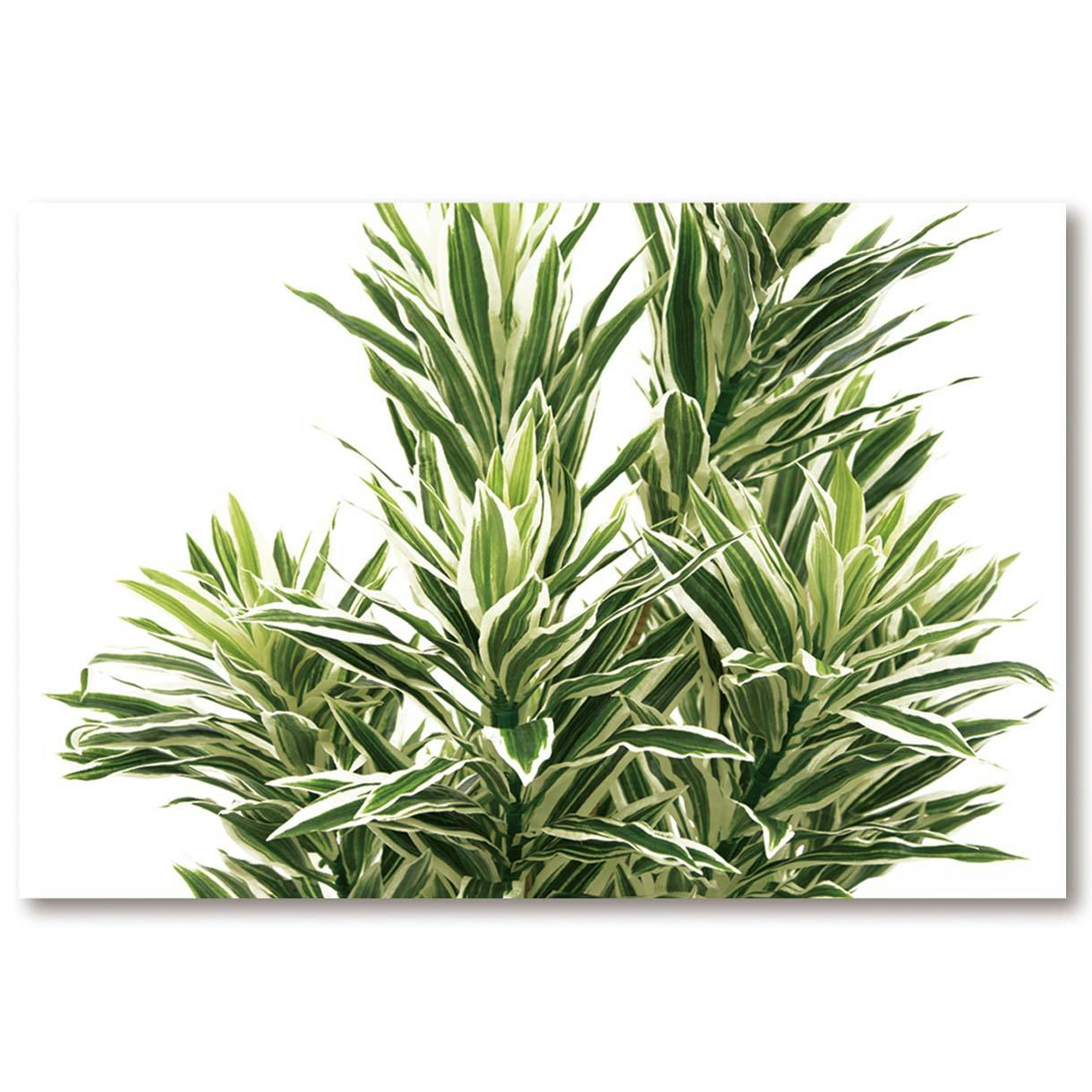 GREEN COFFRET インディア125cm 人工観葉植物 フェイクグリーン