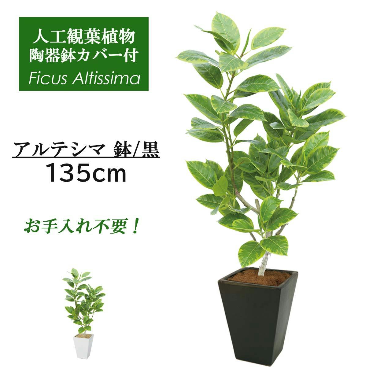 GREEN COFFRET アルテシマ120陶器鉢付・黒 人工観葉植物 フェイク