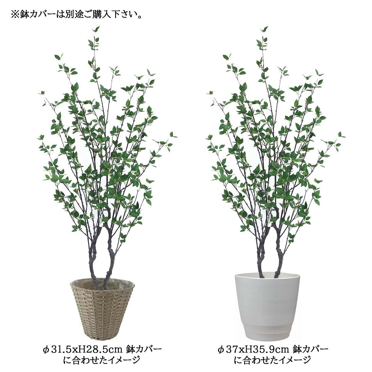 GREEN COFFRET シャラ株立ち180cm 人工観葉植物 フェイクグリーン