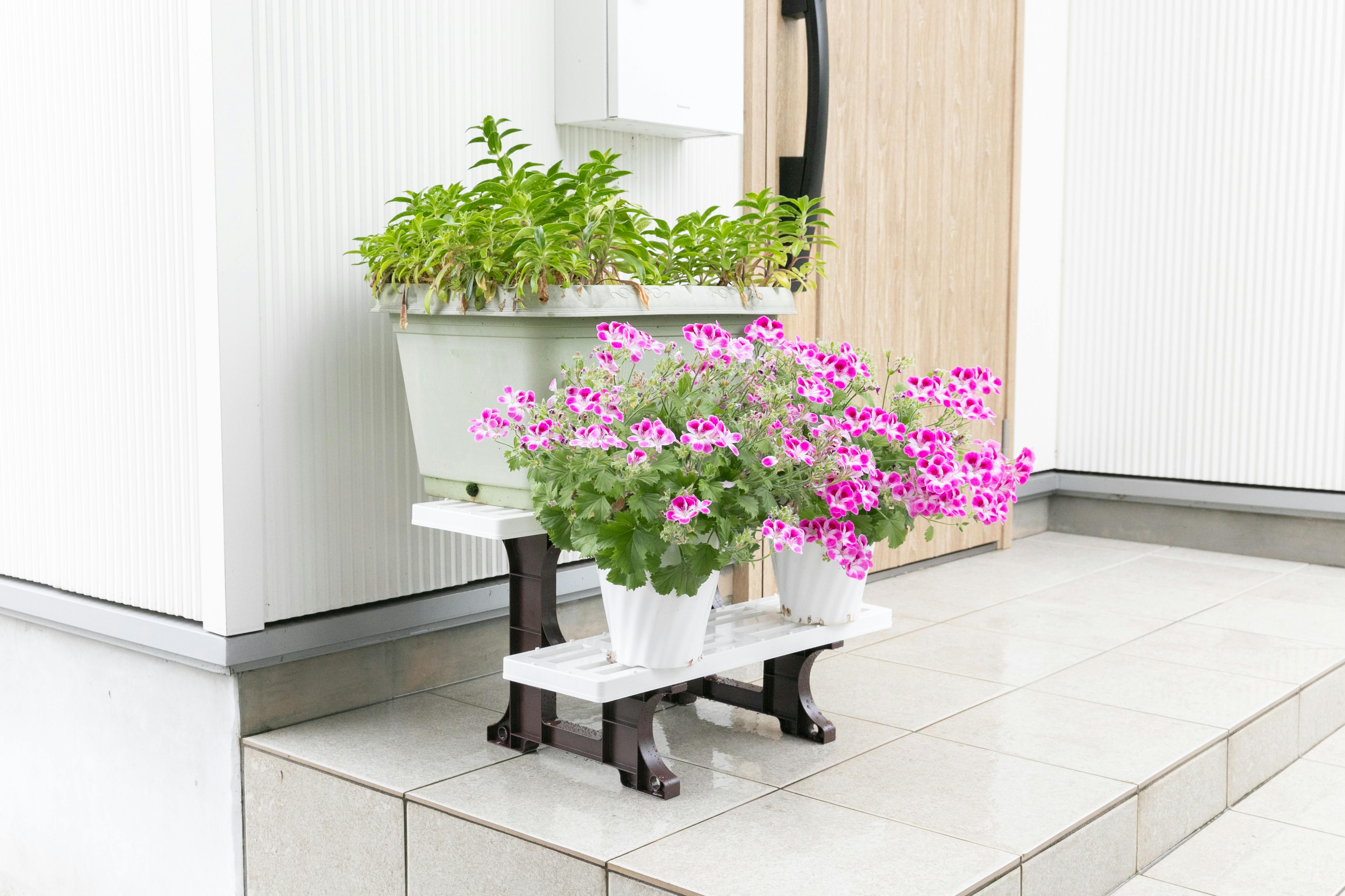 セーブ・インダストリー フラワースタンド 2段550ツートン 園芸 ラック