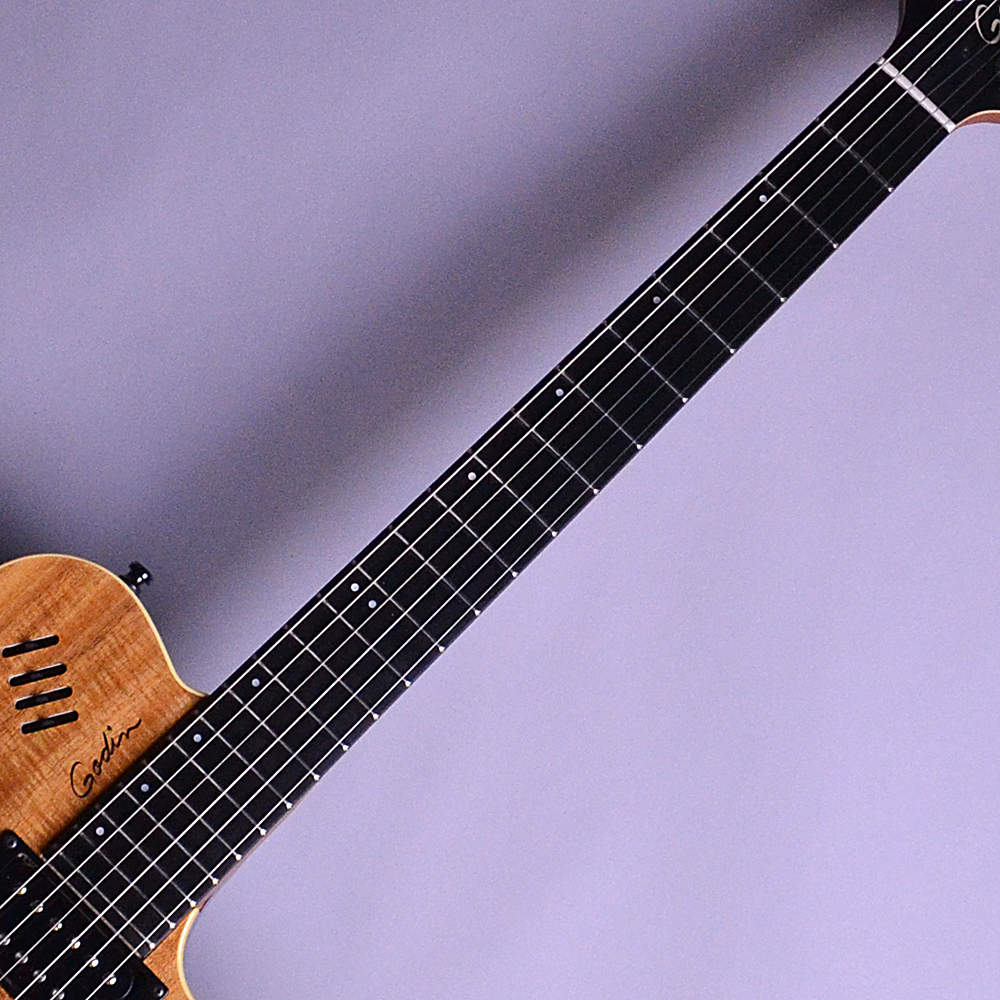 入荷情報】Godin – Limited Edition xtSA KOA【S/N:16402155】｜島村