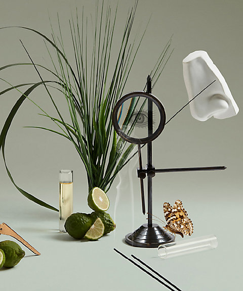 ペンハリガン（PENHALIGONS） ジ イニミタブル ウィリアム