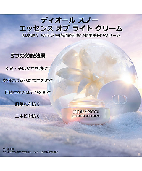 N*4様 非売品 クリスチャンディオール スノードーム N*4様 非売品