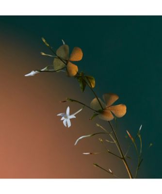 ペンハリガン（PENHALIGONS） ア キス オブ ブリス オードパルファム