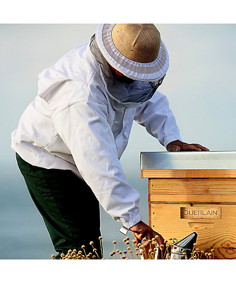 GUERLAIN（GUERLAIN） アベイユ ロイヤル スカルプ＆ヘア ダブルR